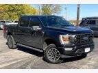 Thumbnail Photo 29 for 2021 Ford F150